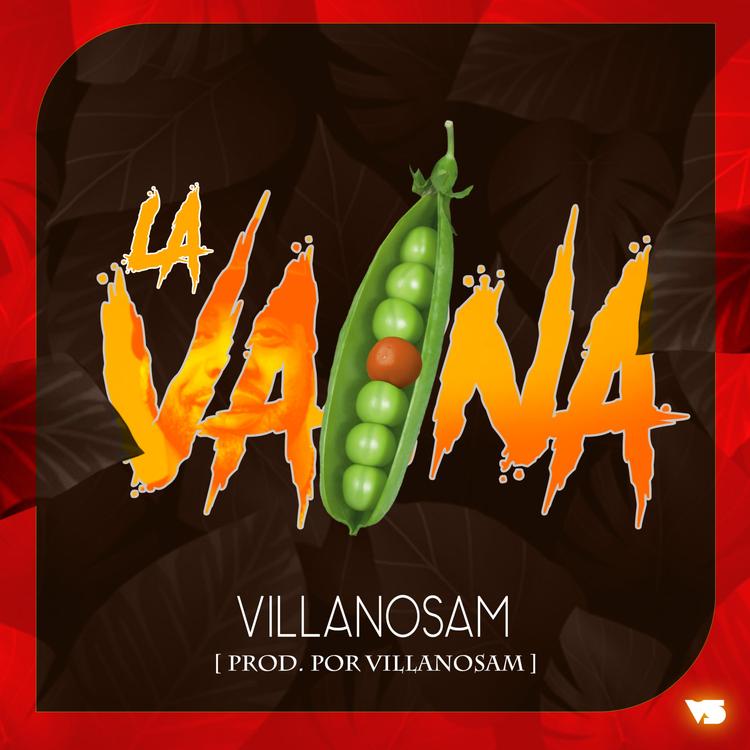 VillanoSam's avatar image