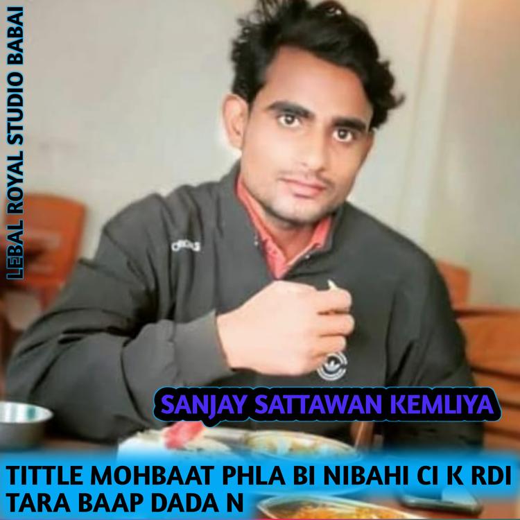 SANJAY SATTAWAN KEMLIYA's avatar image