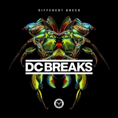 Never Stop By DC Breaks's cover