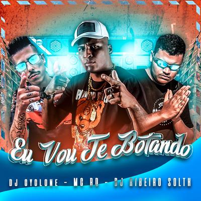 EU VO TE BOTANDO By DJ Ribeiro Solth, DJ Cyclone, Mc RD's cover