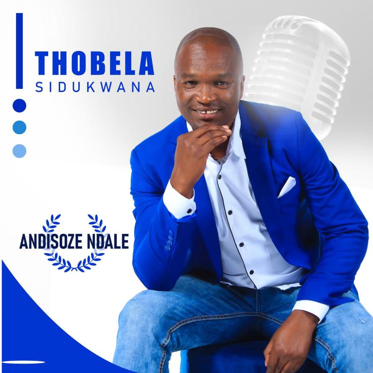 Thobela Sidukwana's avatar image