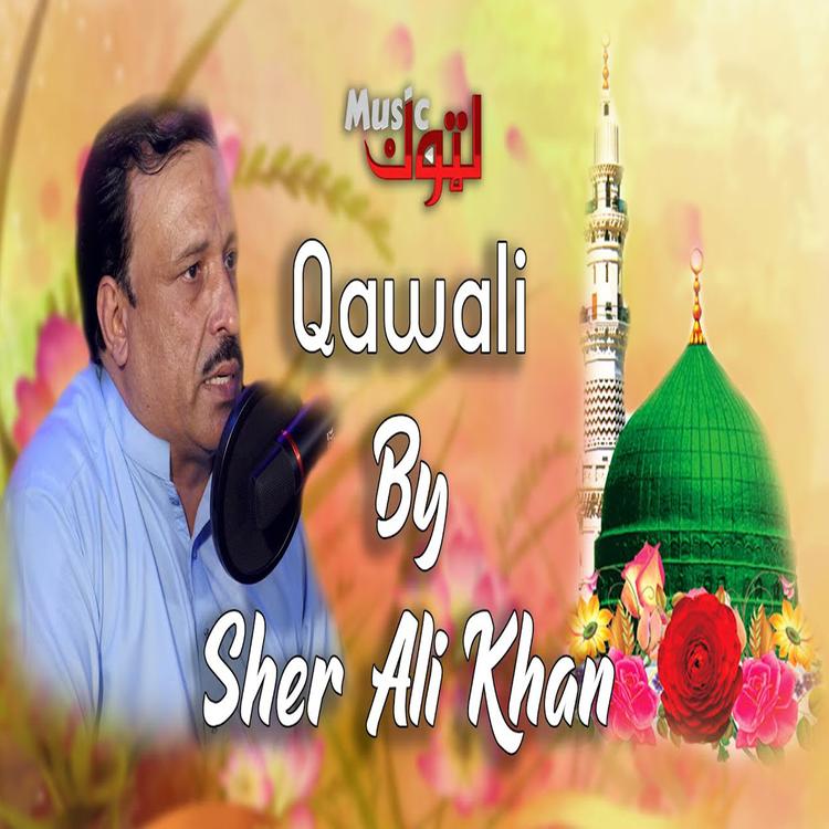 Sher Ali Khan's avatar image