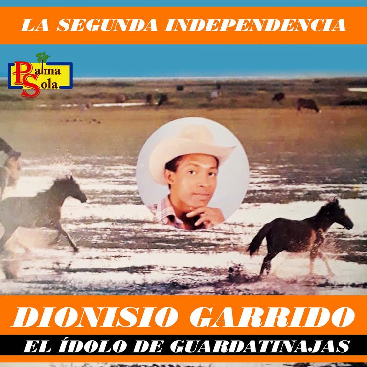 Dionisio Garrido's avatar image