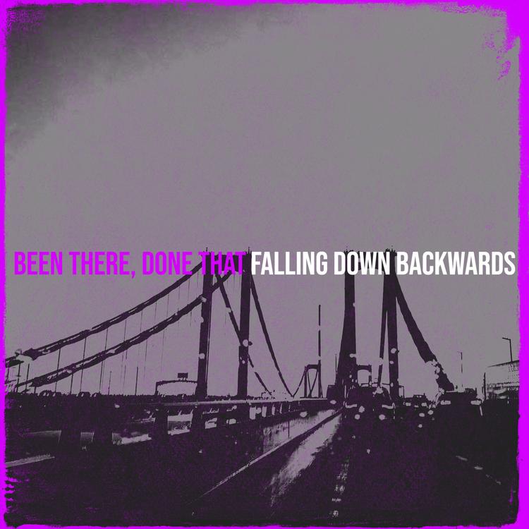 Falling Down Backwards's avatar image