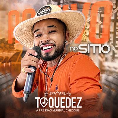 Pulei Na Piscina By Toque Dez's cover