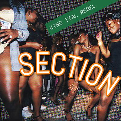 King Ital Rebel's cover