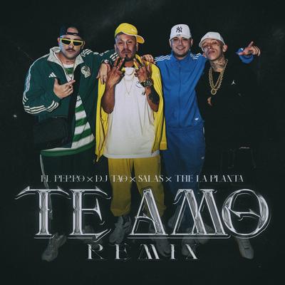 TE AMO RMX (feat. Salastkbron) By DJ Tao, El Perro, The La Planta, Salastkbron's cover