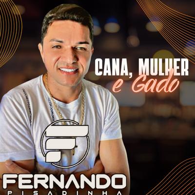Cana, Mulher e Gado By Fernando Pisadinha's cover