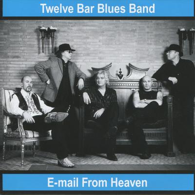 Everybody Makes Mistakes By Twelve Bar Blues Band's cover
