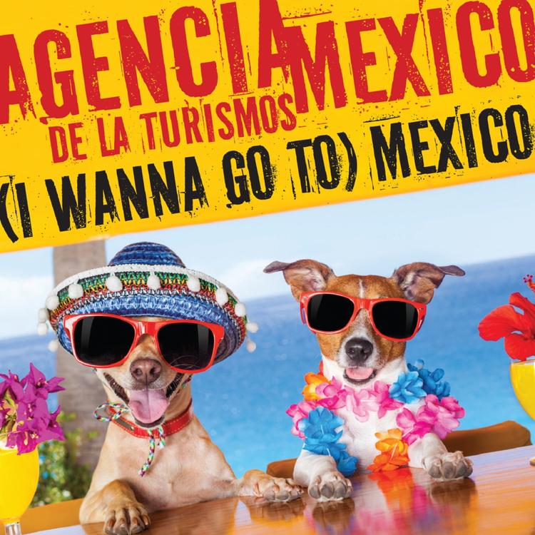 Agencia de la Turismos Mexico's avatar image