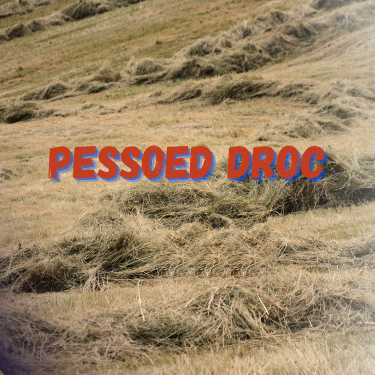 Pessoed Droc's avatar image