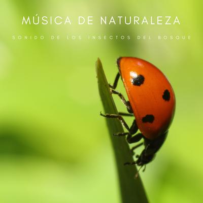Amante De La Naturaleza By Ruido Blanco Para Concentración, Meditación Tántrica ASMR, Reiki Consorte de Curación's cover
