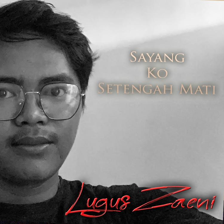 Lugus Zaeni's avatar image