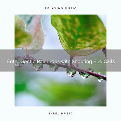 ! ! ! ! ! ! ! ! ! ! Enter Gentle Raindrops with Shooting Bird Calls's cover