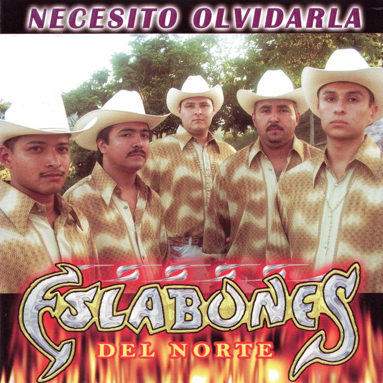 Eslabones Del Norte's avatar image