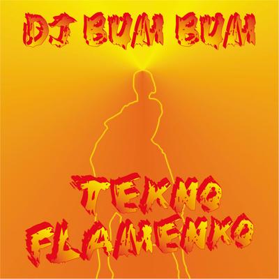 Tekno Flamenko's cover