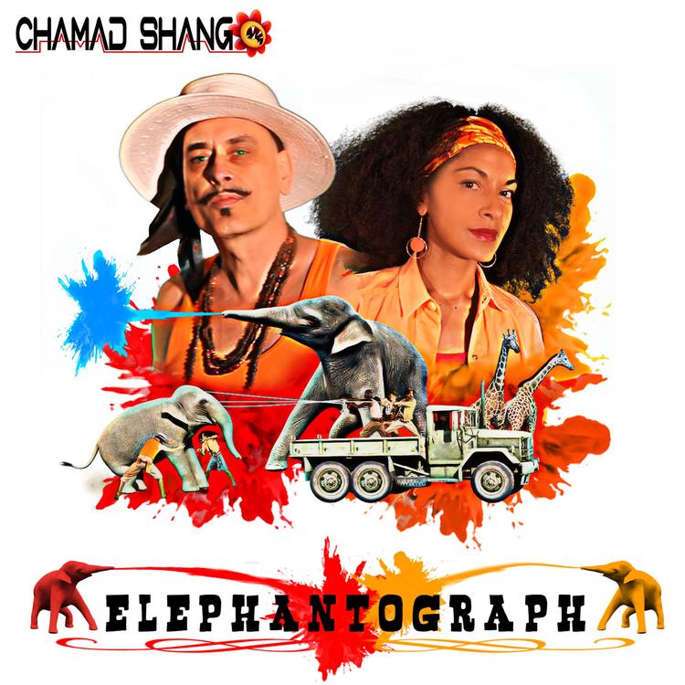 Chamad Shango's avatar image