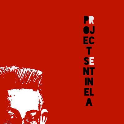 Chaos By Project Sentinela's cover