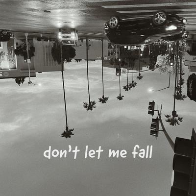 don't let me fall's cover