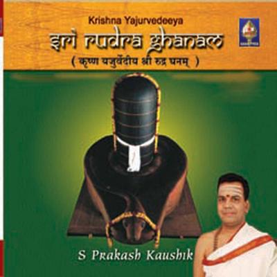 Trayambakam Yajaamahe's cover