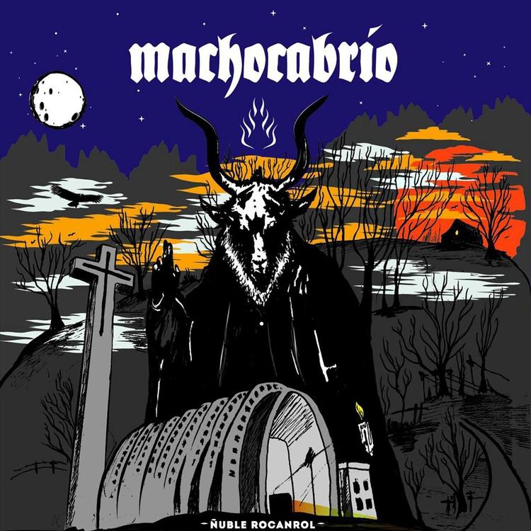 MACHOCABRIO's avatar image