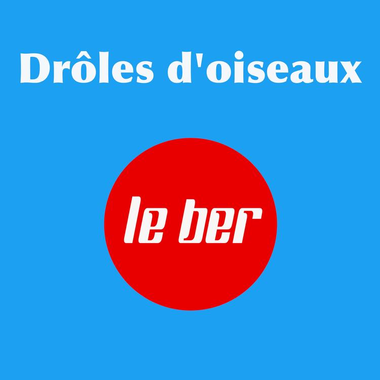 le ber's avatar image