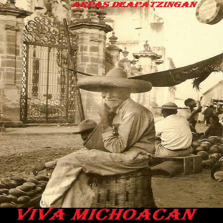 Viva Michoacan's avatar image