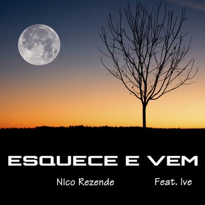 Esquece e Vem By Nico Rezende, Ive Greice's cover