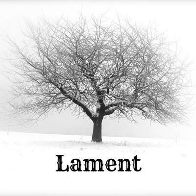 Lament By The Last 100's cover