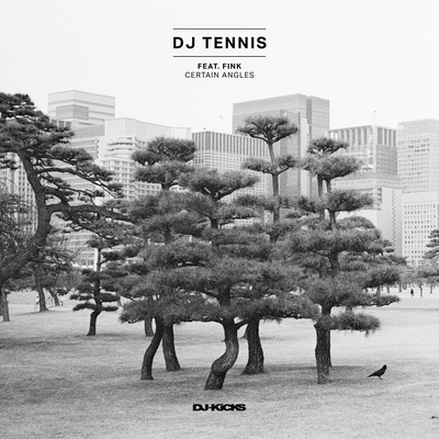 Certain Angles By DJ Tennis, Fink's cover