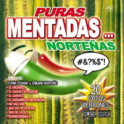 Puras Mentadas… Norteñas's cover