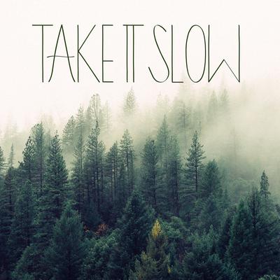 Take It Slow By Michael Lane's cover