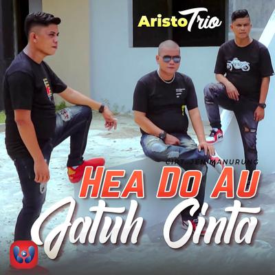 Hea Do Au Jatuh Cinta's cover