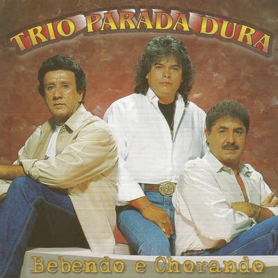 O valentão By Trio Parada Dura's cover