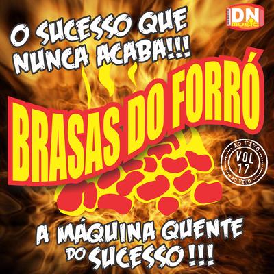 Brasas do Forró, Vol. 17: O Sucesso Que Nunca Acaba!!!'s cover