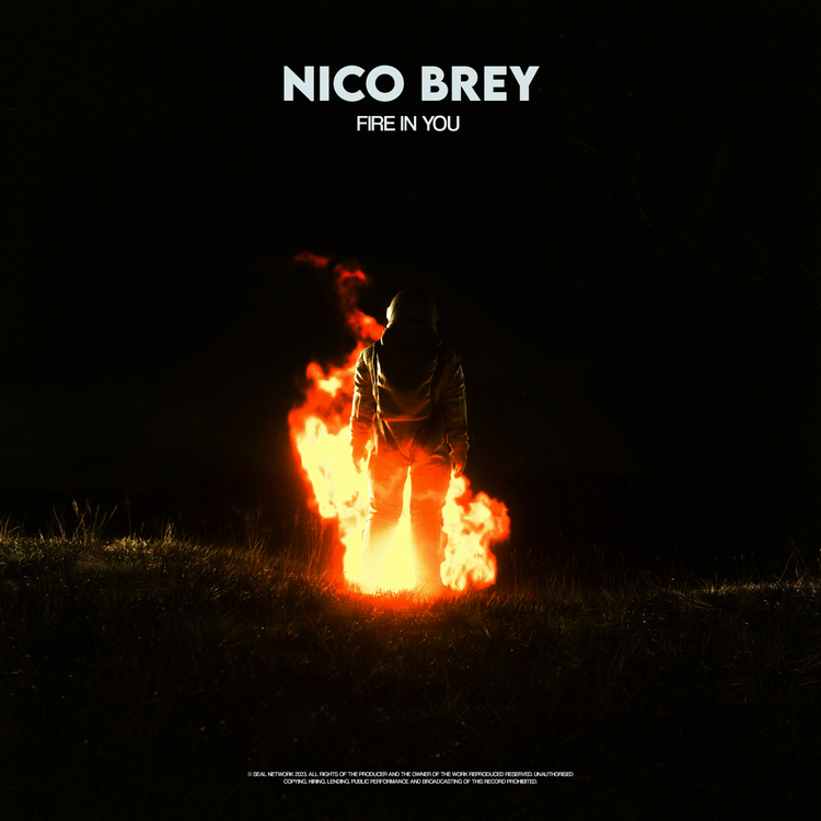 Nico Brey's avatar image
