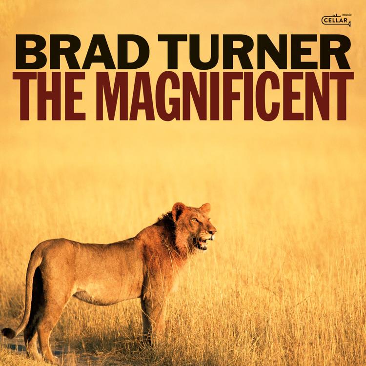 Brad Turner's avatar image