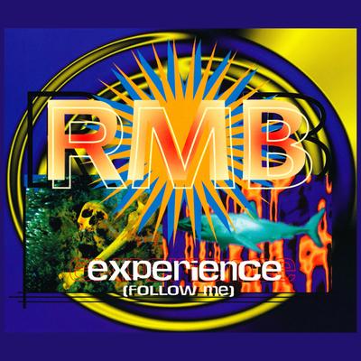 Experience (Follow Me) [Enhanced Version] By RMB's cover