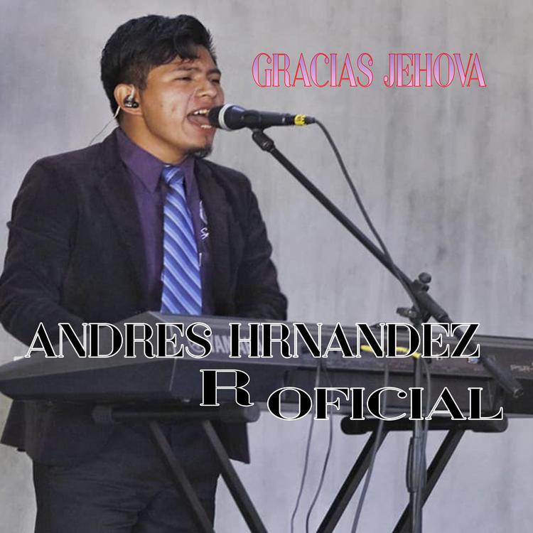 Andrés R Hernández Oficial's avatar image