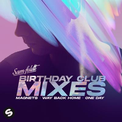 Birthday Club Mixes's cover