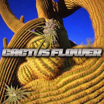 CACTUS FLOWER's cover