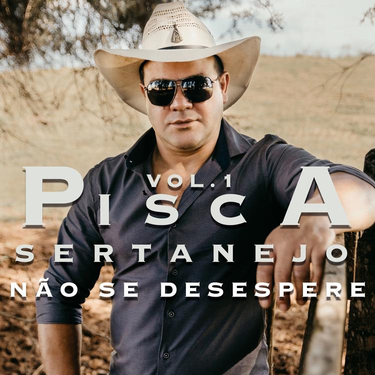 Pisca Sertanejo's avatar image