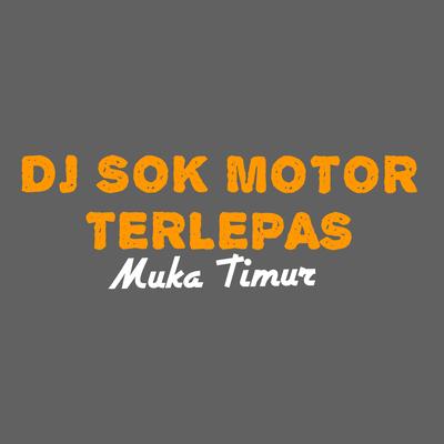 Dj Sok Motor Terlepas (Remix)'s cover