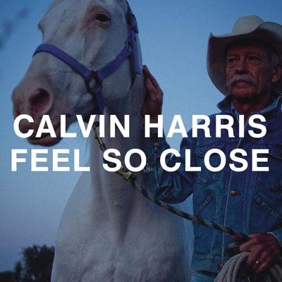 Feel So Close (Radio Edit) By Calvin Harris's cover