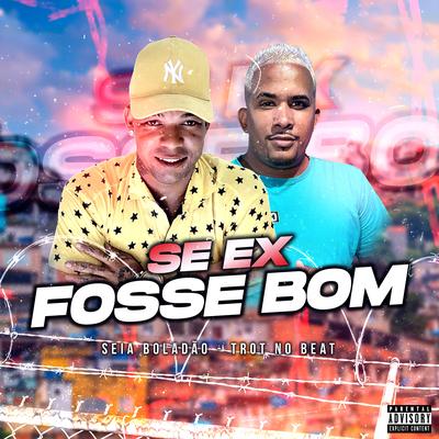 Se Ex Fosse Bom's cover