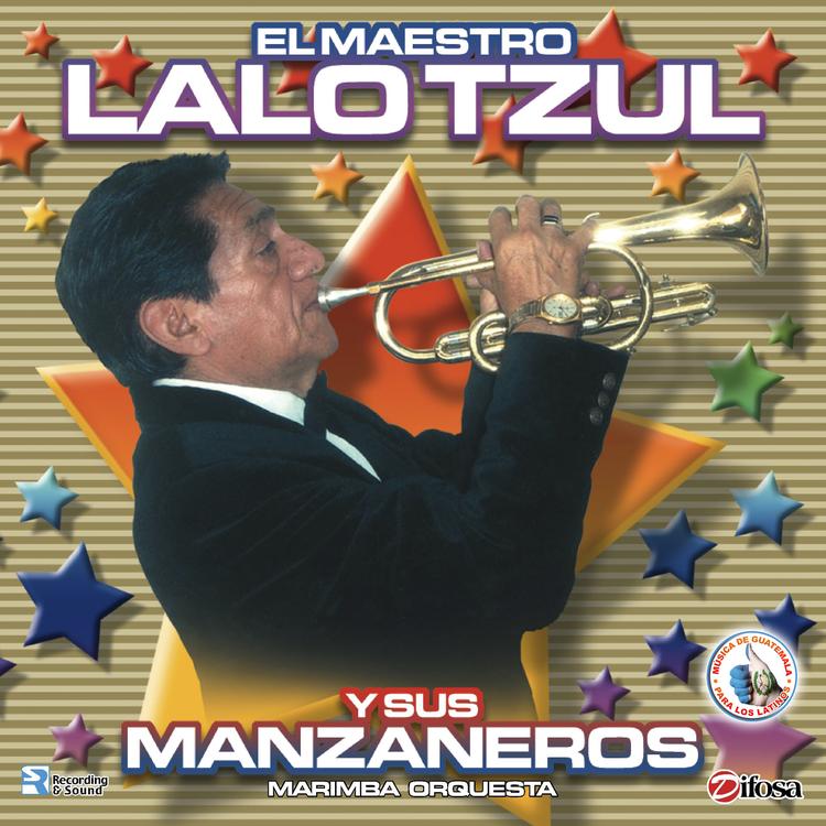 Marimba Orquesta Lalo Tzul y Sus Manzaneros's avatar image