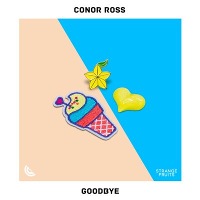 Goodbye By Conor Ross's cover