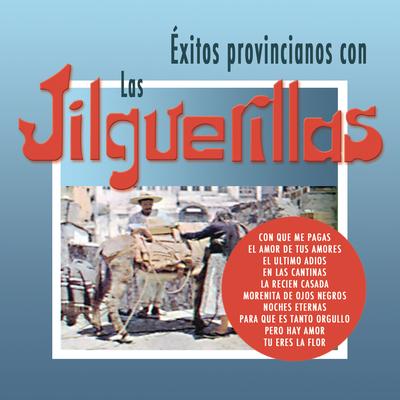 Exitos Provincianos Con Las Jilguerillas's cover