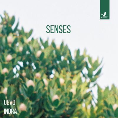 Senses By Uevo, Indra's cover