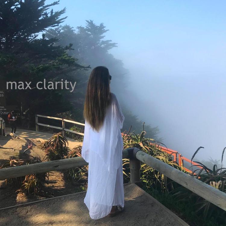 Max Clarity's avatar image